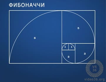 диаграмма шарика для системы фибоначчи
